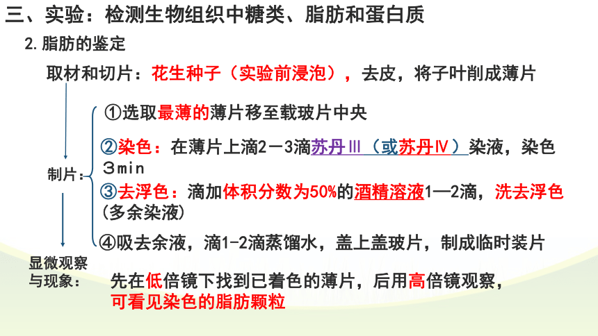 2.1细胞中的元素和化合物课件（第2课时）课件(共20张PPT)-人教版（2019）必修1