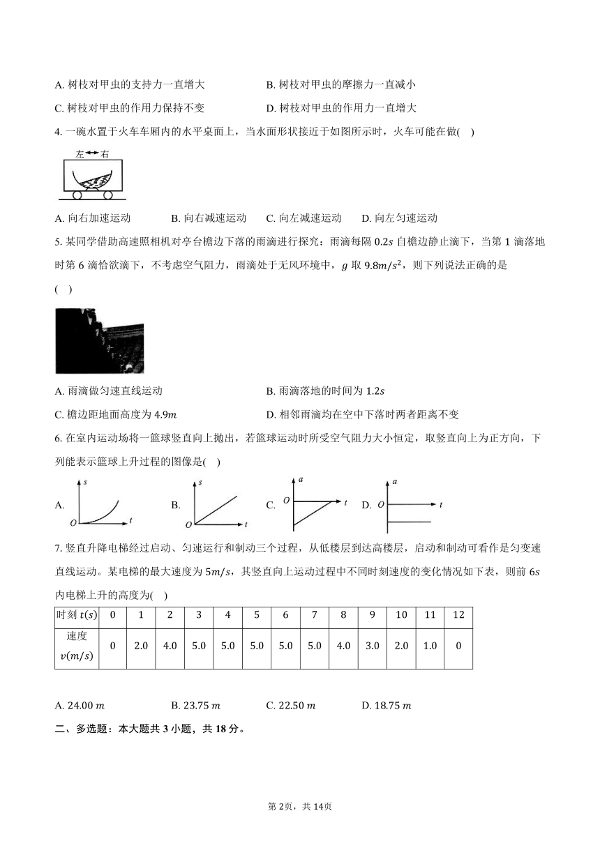 2023-2024学年广东省广州市荔湾区高一（上）期末统考物理试卷（含解析）