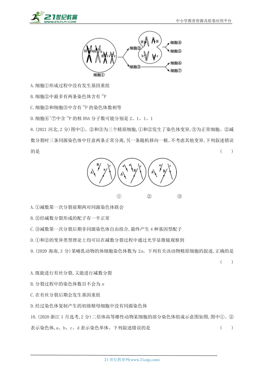 高考生物真题分类汇编：专题8 遗传的细胞基础（含解析）