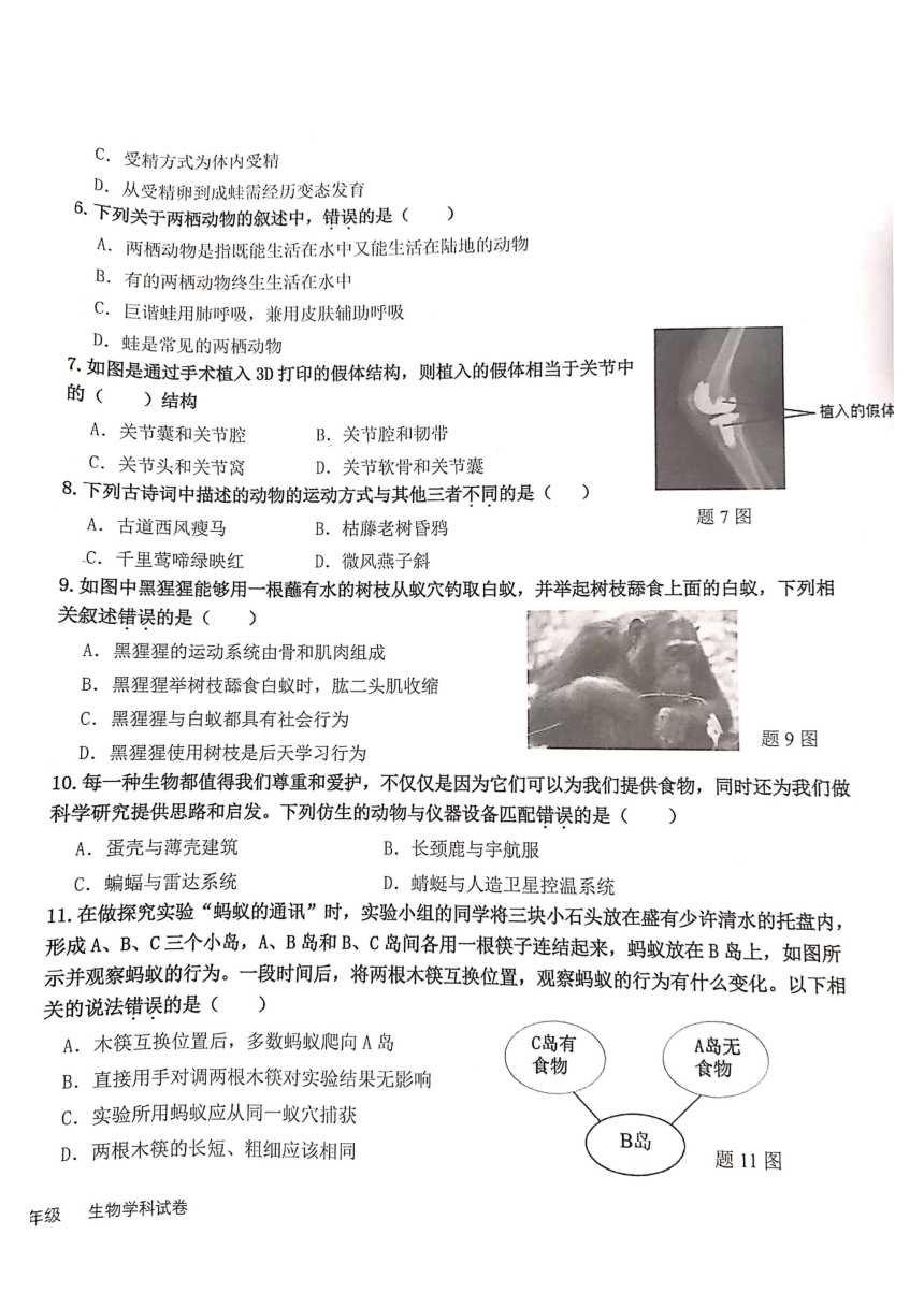 广东省东莞市厚街湖景中学2023-2024学年八年级上学期期末生物试题（PDF版无答案）