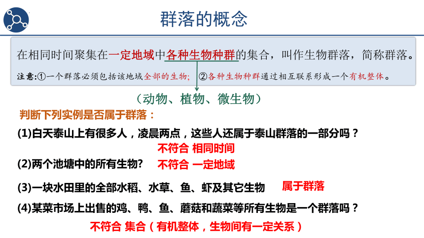 2.1群落的结构第1课时课件(共19张PPT) 人教版选择性必修2