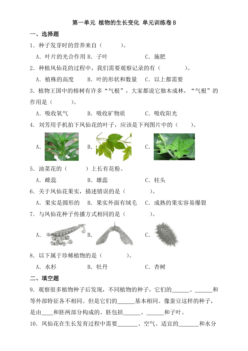 四年级科学下册（教科版）第一单元 植物的生长变化 单元训练卷B（含解析）