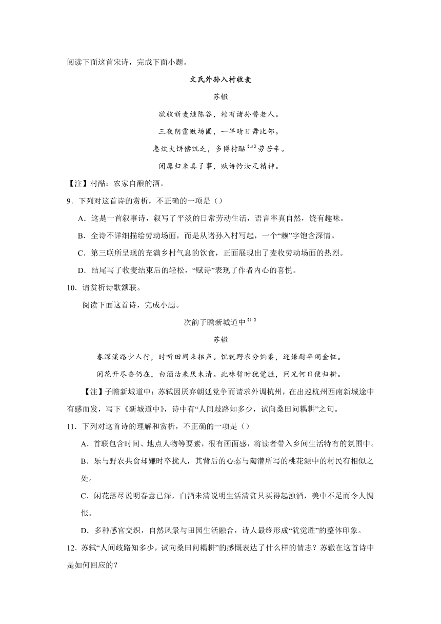 2024届高考诗歌专题训练诗人篇（苏辙）（含解析）