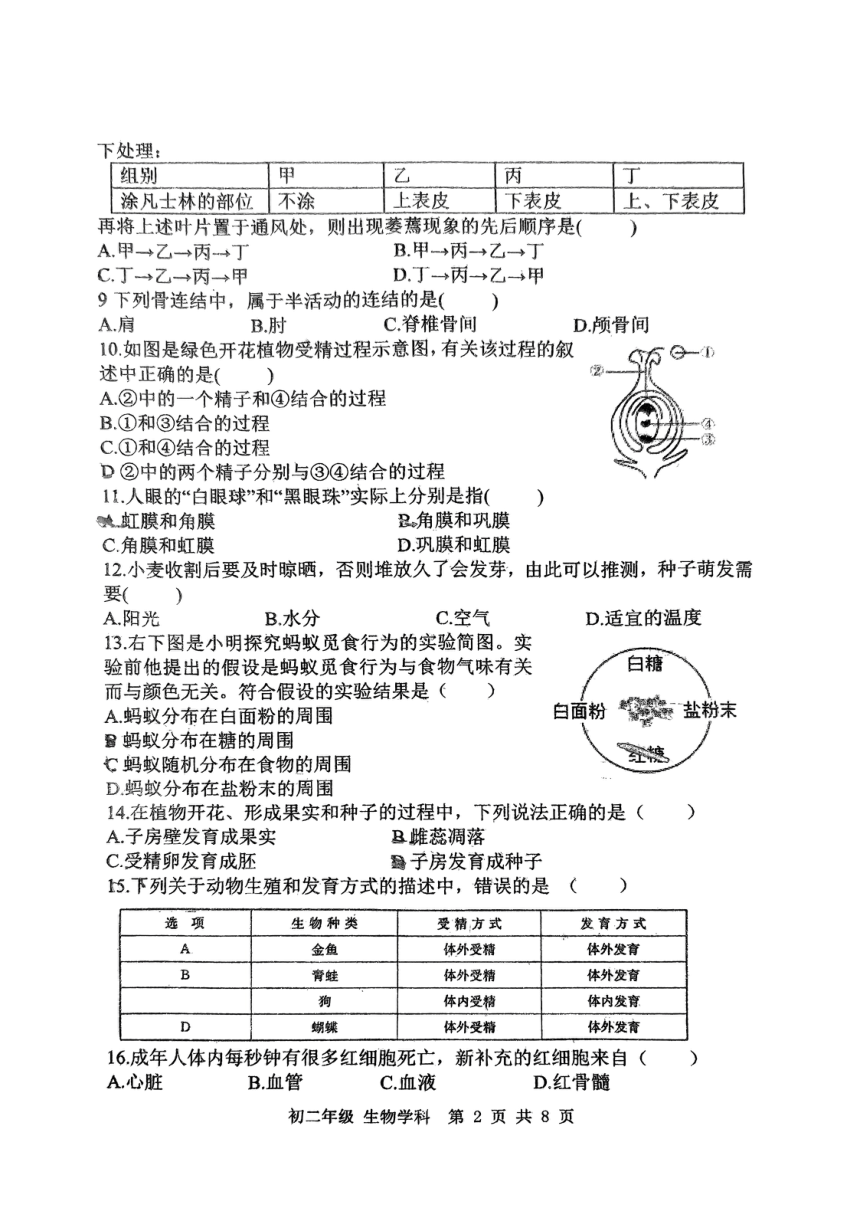 江苏省扬州市梅岭中学2023-2024学年八年级上学期期末生物学试题（PDF版 无答案）
