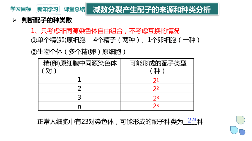 2.1 染色体通过配子传递给子代 课时3 课件（共32张PPT） 2023-2024学年高一生物浙教版（2019）必修2