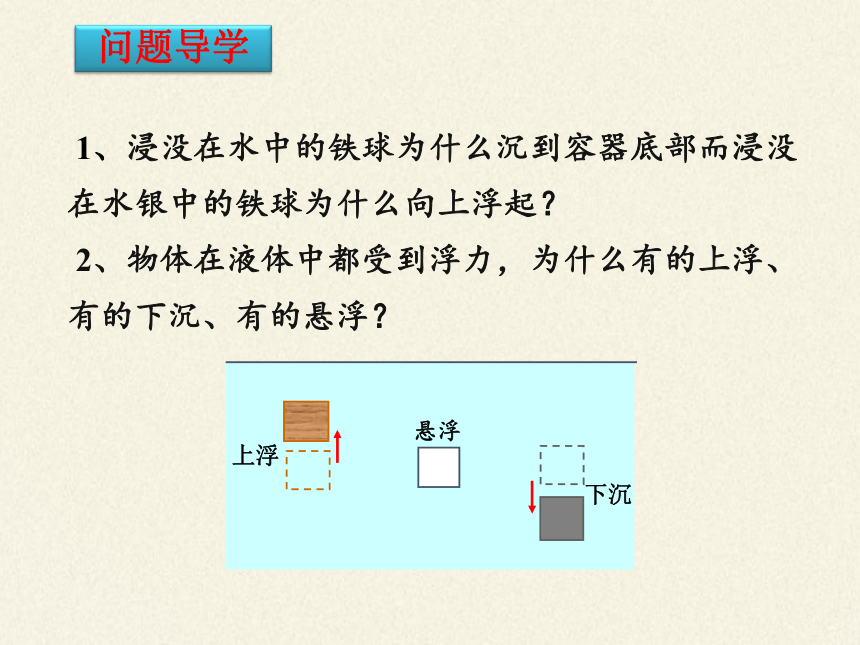 2020-2021学年人教版八年级物理下册10.3 物体的浮沉条件及应用 课件（17张）