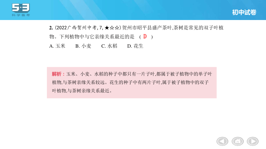 第6单元 生物的多样性及其保护习题课件(共34张PPT)人教版八年级上册