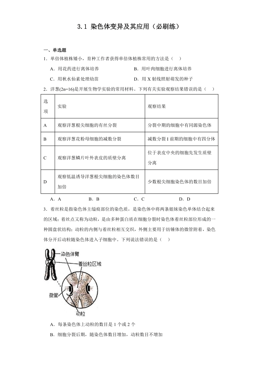 3.1染色体变异及其应用（同步练习）2023-2024学年高一生物 苏教版2019必修2（含答案解析）