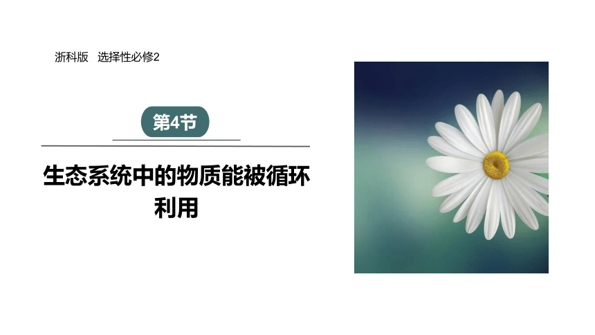 3.4 生态系统中的物质能被循环利用 课件(共20张PPT) 2023-2024学年高二生物浙科版（2019）选择性必修2