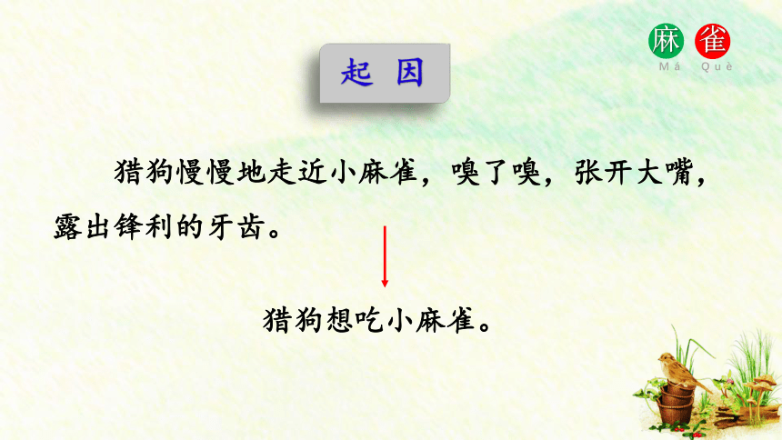 16《麻雀》  公开课课件(共30张PPT)