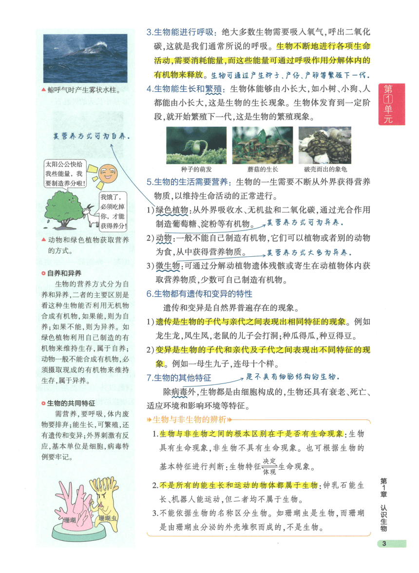 【知识清单】第1单元 第1章 认识生物-2024中考生物学总复习-人教版（pdf版）