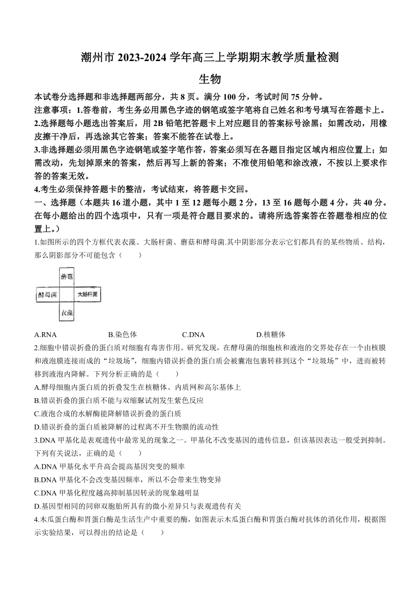 广东省潮州市2023-2024学年高三上学期期末教学质量检测生物学试题（含答案）