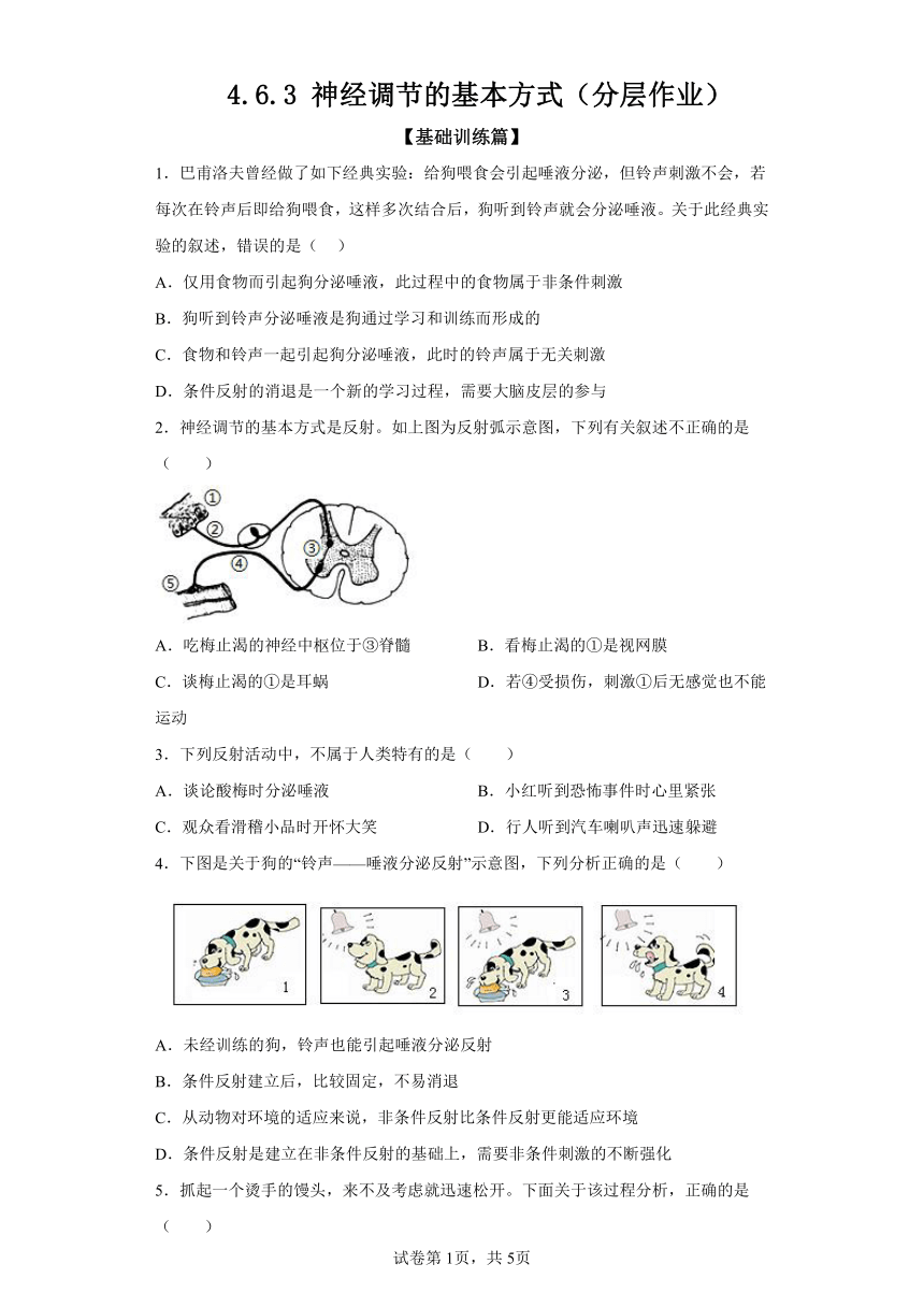 4.6.3神经调节的基本方式 分层作业 七年级生物下册人教版（含解析）