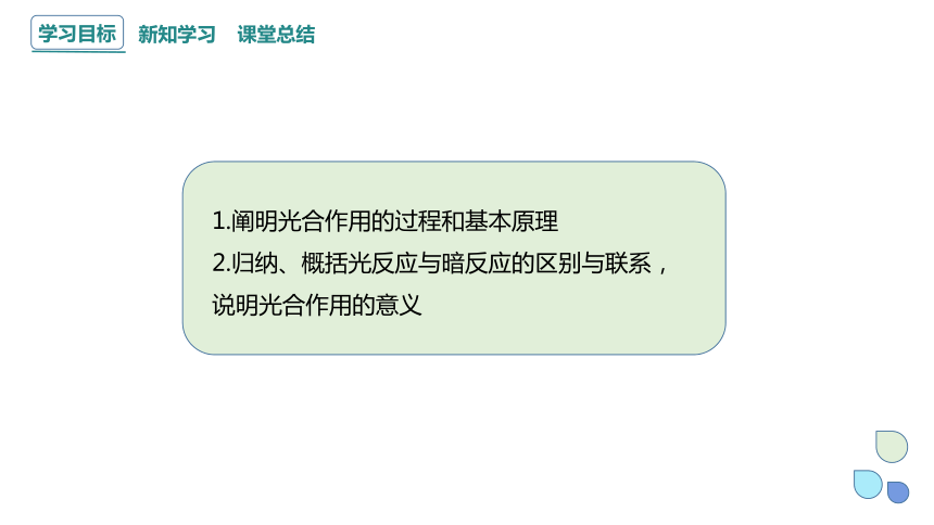 5.4.2 光合作用的原理和应用 课件(共24张PPT) 2023-2024学年高一生物人教版（2019）必修1