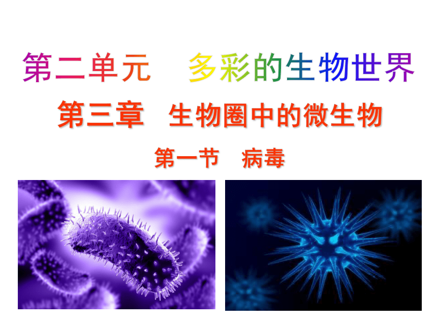 生物济南版七年级上册课件2.3.1 病毒(19ppt)