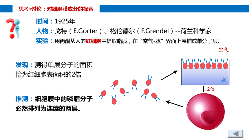 3.1细胞膜的结构和功能课件(共32张PPT)-人教版（2019）必修1