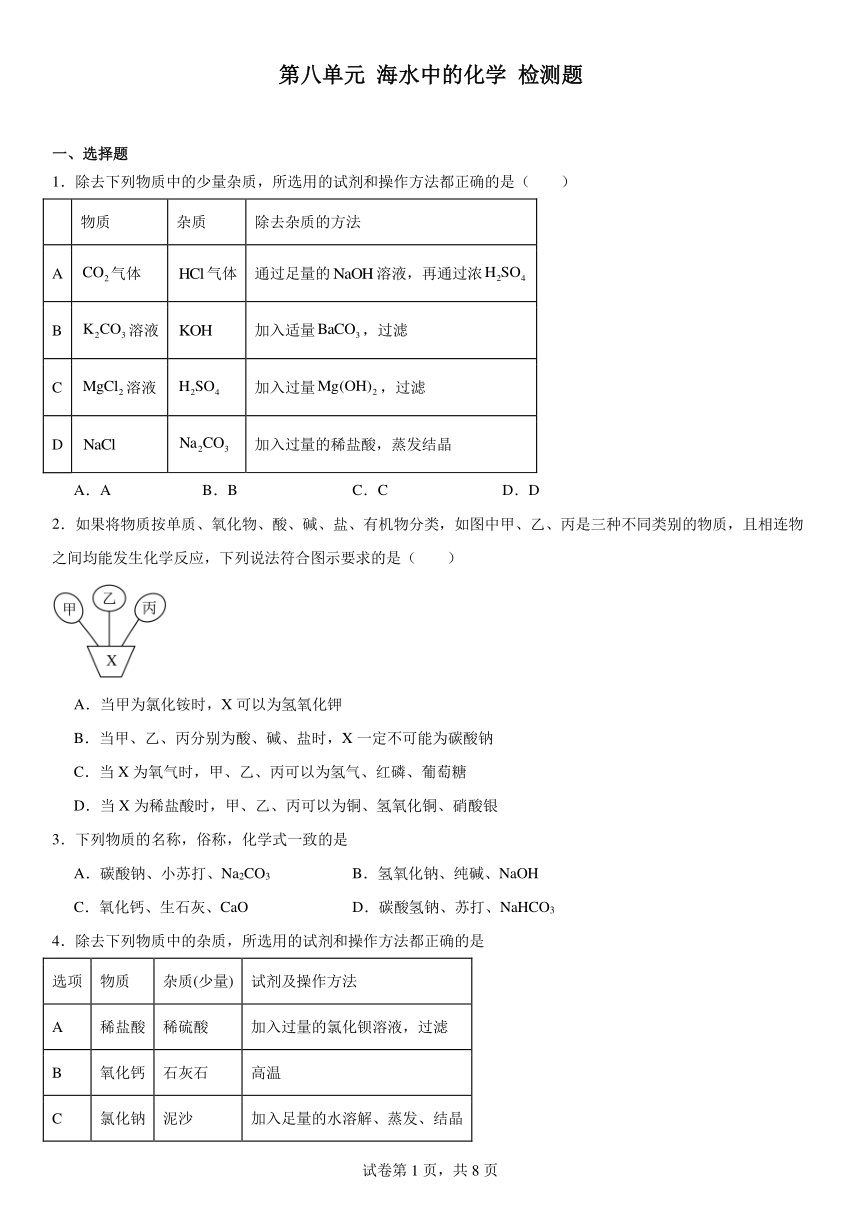 第八单元海水中的化学检测题(含解析) 2023-2024学年九年级化学鲁教版下册