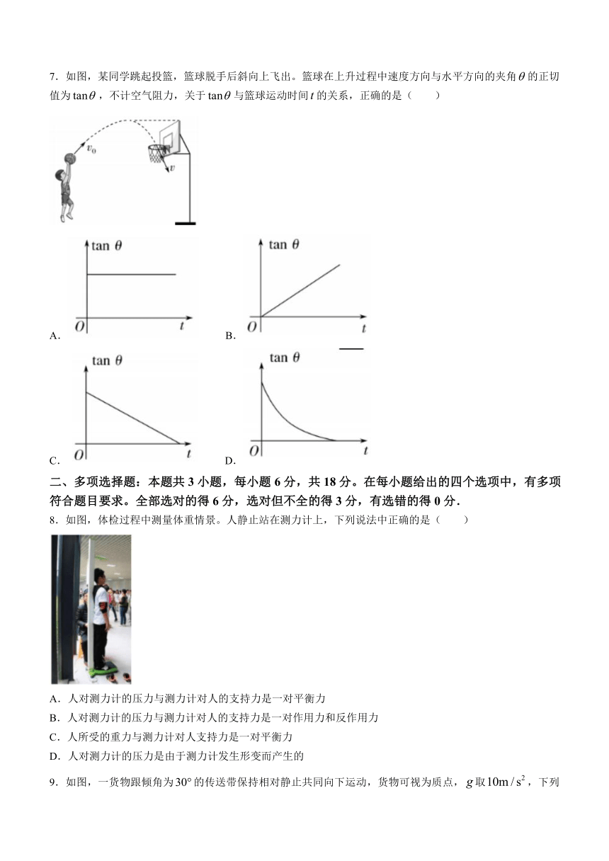 广东省广州市广东实验2023-2024学年高一上学期期末综合调研测试（1）物理试题（含答案）