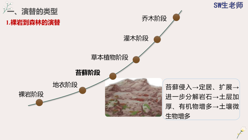 2.3 群落的演替(共36张PPT)