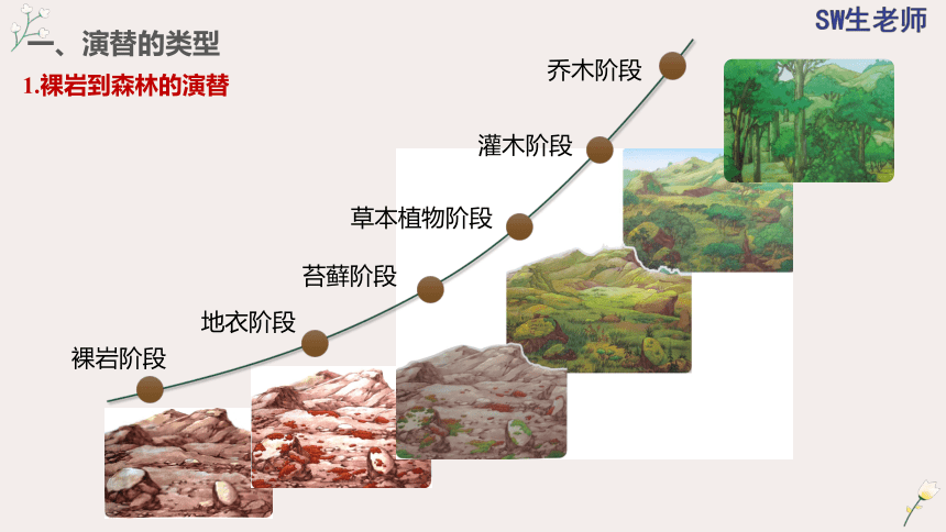 2.3 群落的演替(共36张PPT)