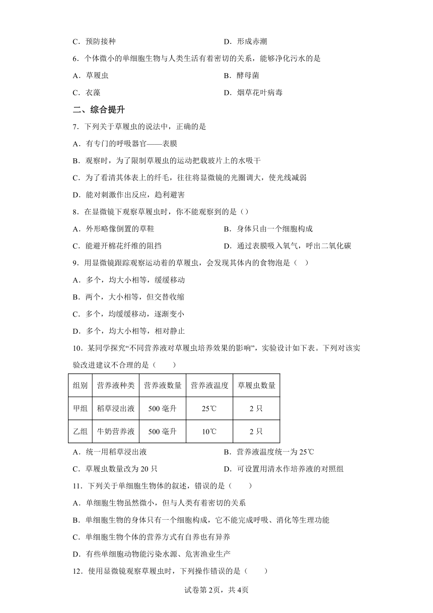 2.2.4单细胞生物 分层作业（含解析） 人教版七年级生物上册