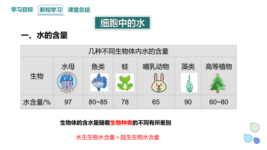 2.2 细胞中的无机物 课件(共22张PPT) 2023-2024学年高一生物人教版（2019）必修1