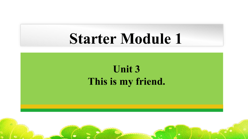 Starter Module 1 Unit 3  课件 2023-2024学年外研版英语七年级上册（共20张PPT，内嵌音频）
