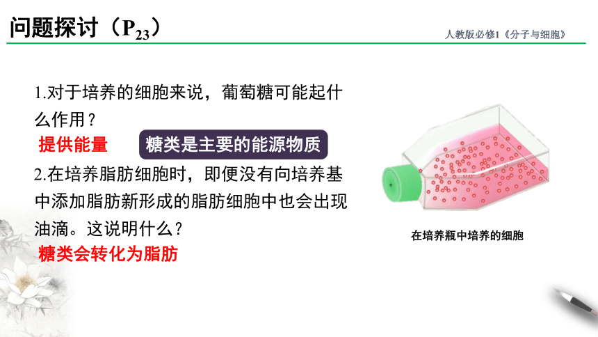 2.3细胞中的糖类和脂质课件（共22张PPT） 人教版必修1