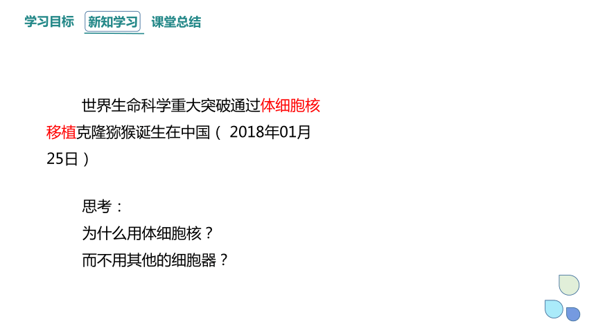 2.4 细胞核是生命活动的控制中心 课件(共21张PPT) 2023-2024学年高一生物浙科版（2019）必修第一册