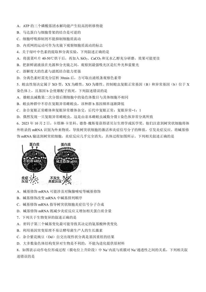 江苏省盐城市、南京市2023-2024学年高三上学期期末调研测试生物学试题（含答案）