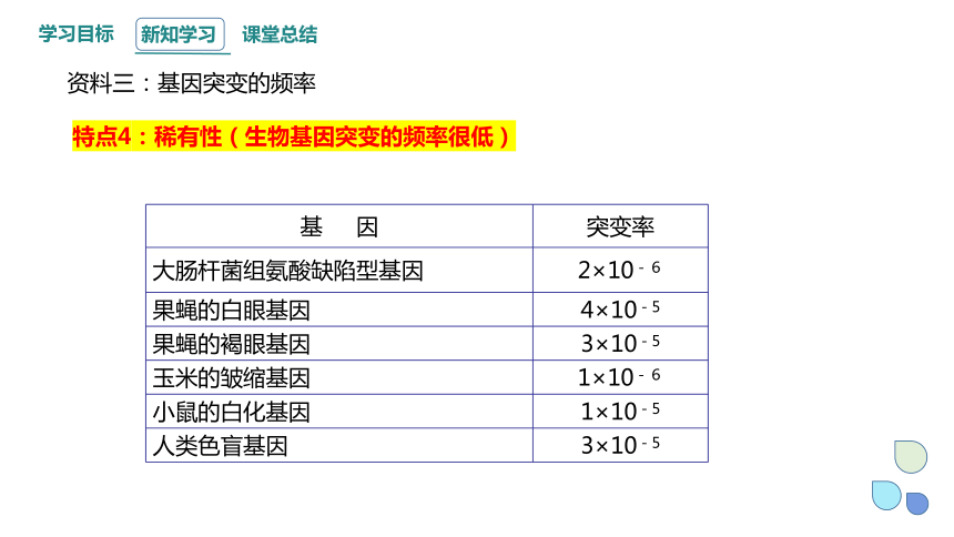 4.1 基因突变可能引起性状改变 课时2  课件（共14张PPT） 2023-2024学年高一生物浙教版（2019）必修2