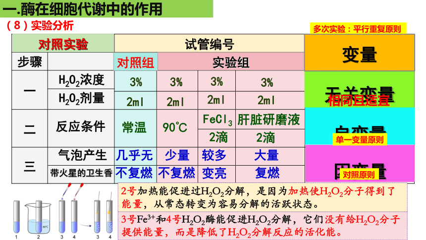 5.1降低化学反应活化能的酶课件(共28张PPT)2023-2024学年高一上学期生物人教版必修1