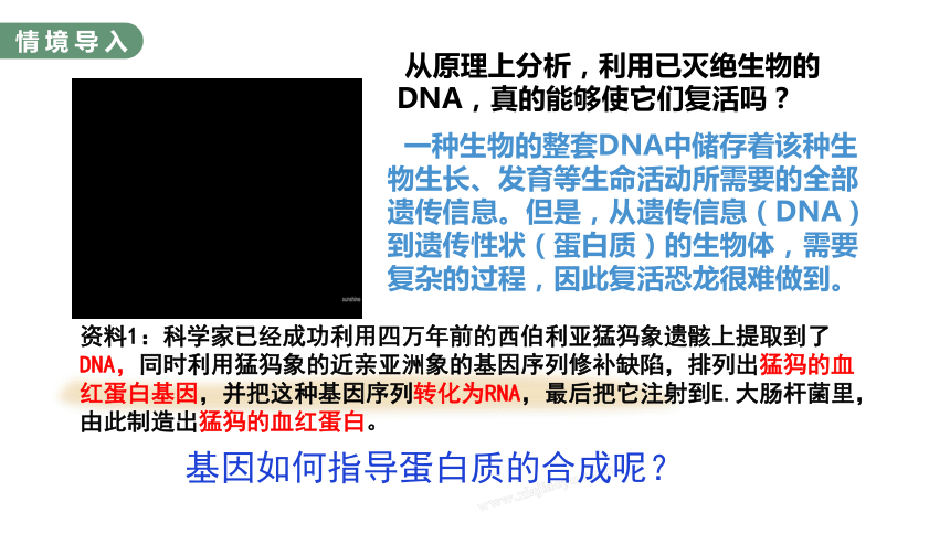 4.1RNA的结构和功能及遗传信息的转录课件（第一课时）（共23张PPT2个视频）生物浙科版必修二