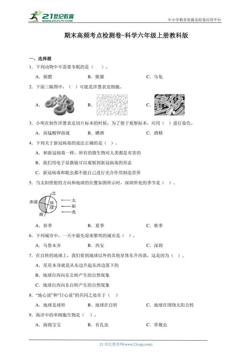 教科版（2017秋）科学六年级上册期末高频考点检测卷（含答案解析）