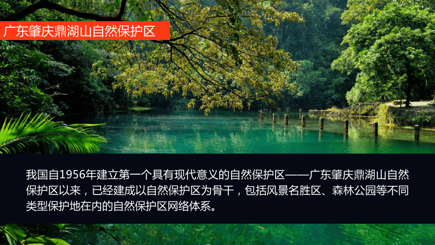 3.2.1 自然保护区与生态安全  课件 (共34张PPT) 2023-2024学年高二地理湘教版（2019）选择性必修3