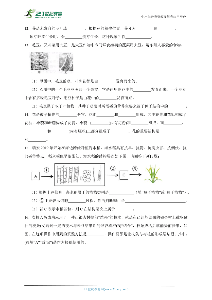 [寒假专练]浙教版科学七年级寒假预习专题：植物的生长（含答案）