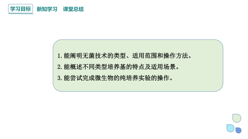 1.2 课时1 微生物的基本培养技术  课件(共30张PPT) 2023-2024学年高二生物人教版（2019）选择性必修3