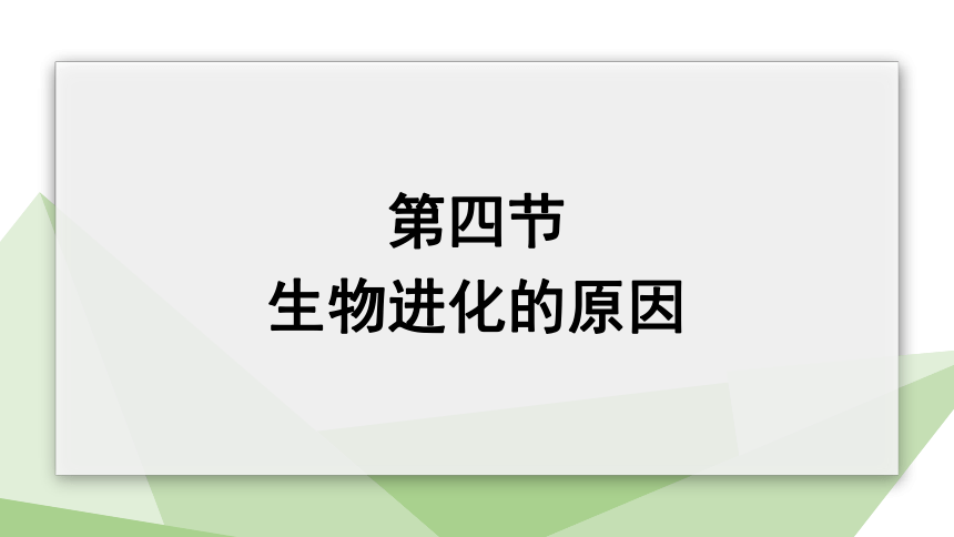 5.1.4 生物进化的原因 课件(共17张PPT)2023-2024学年初中生物济南版八年级下册