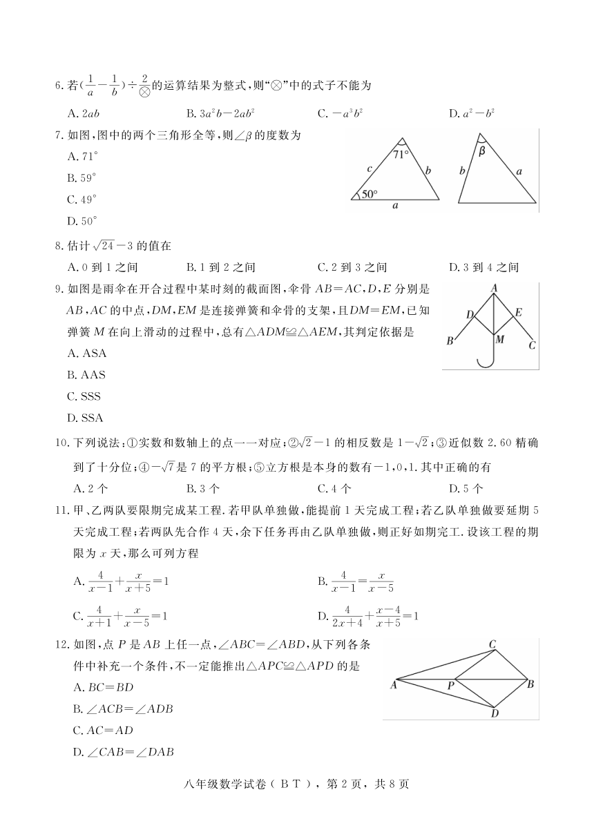 河北省沧州市泊头市2023-2024学年八年级上学期期中教学质量检测数学试题（无答案）