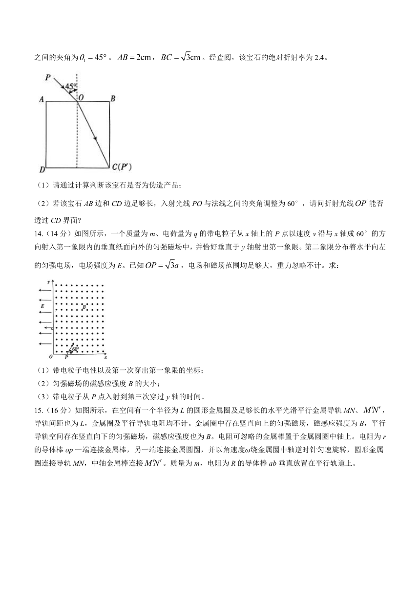 广东省深圳市宝安区2023-2024学年高三上学期期末联考物理试卷（含答案）