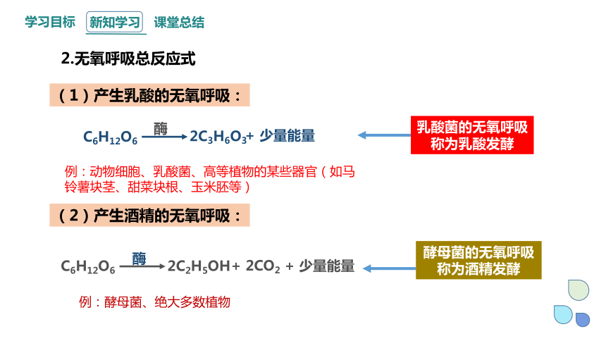 5.3.2 细胞呼吸的原理和应用 课件(共20张PPT) 2023-2024学年高一生物人教版（2019）必修1