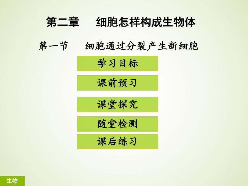 第二单元 第二章 第一节细胞通过分裂产生新细胞 课件（共27张PPT）