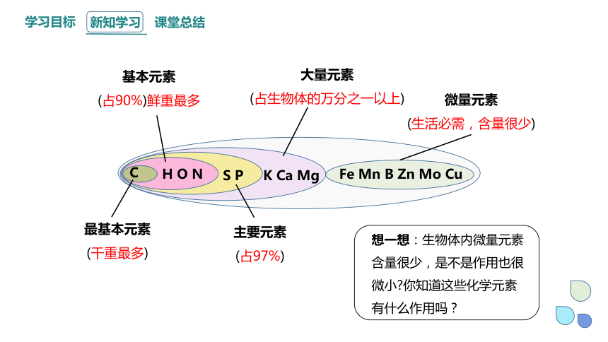 2.1 细胞中的元素和化合物 课件 (共20张PPT)2023-2024学年高一生物人教版（2019）必修1