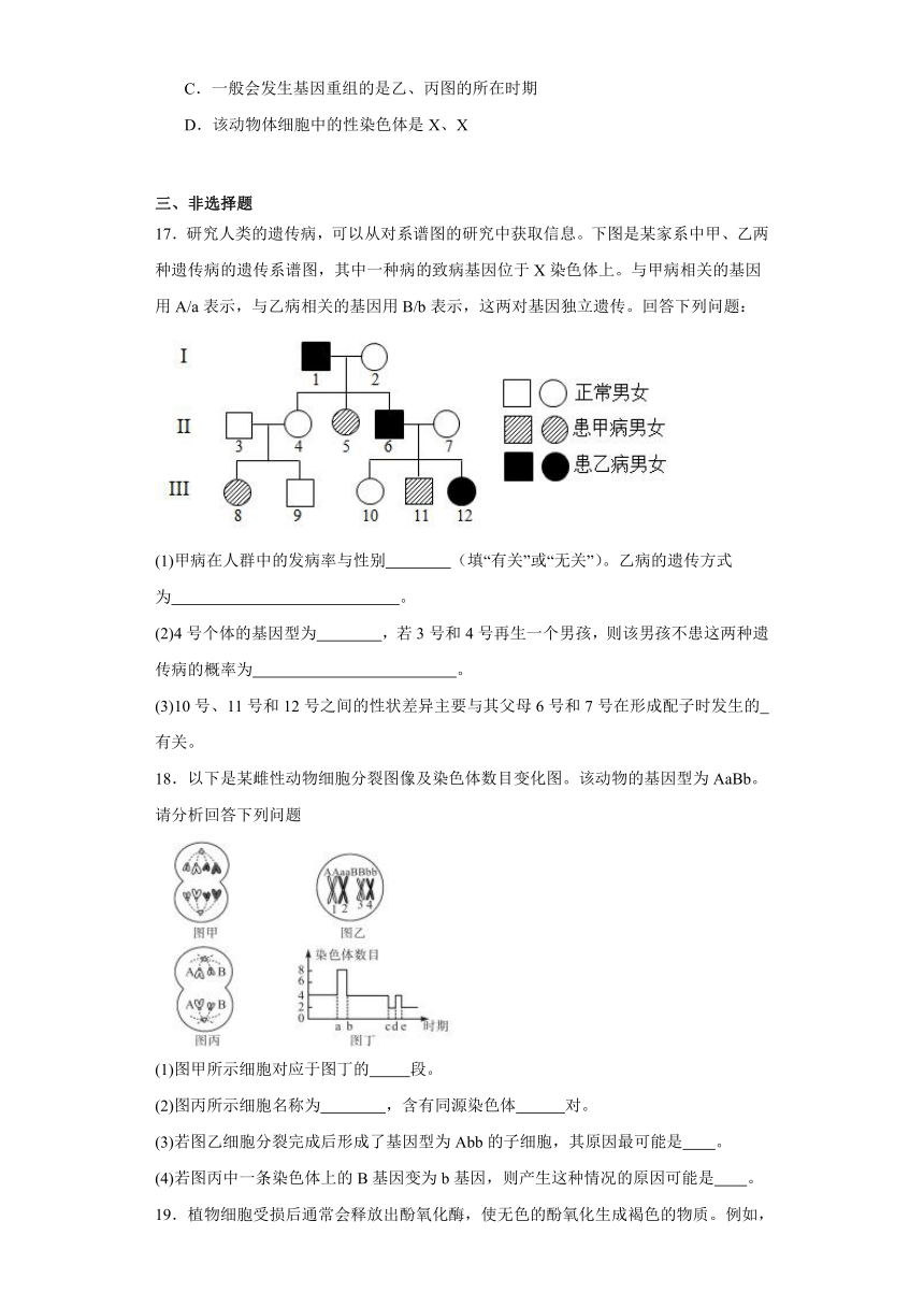 5.2基因重组随堂速测（含解析）2023-2024学年高一下学期生物北师大版（2019）必修2