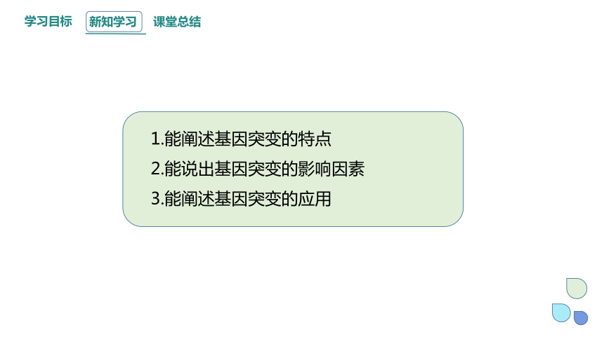 4.1 基因突变可能引起性状改变 课时2  课件（共14张PPT） 2023-2024学年高一生物浙教版（2019）必修2