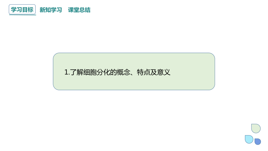 4.2.1细胞通过分化产生不同的细胞（一） 课件(共23张PPT) 2023-2024学年高一生物浙科版（2019）必修第一册