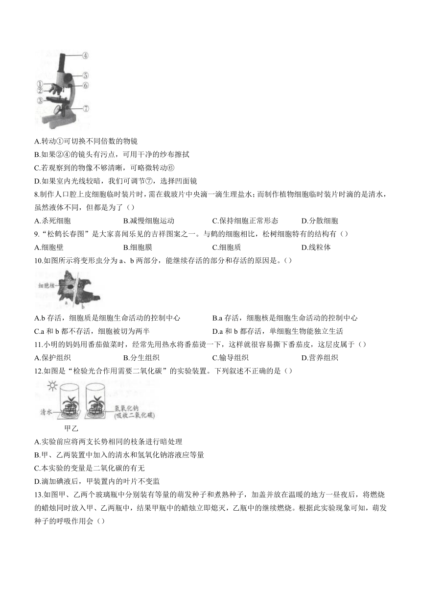 贵州省毕节市金沙县第四中学2023-2024学年七年级上学期1月月考生物试题（北师大版）（含答案）