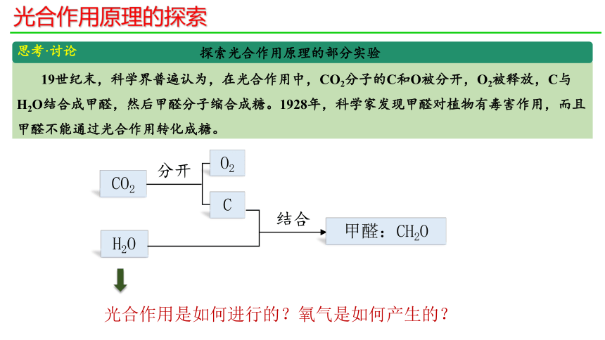 5.4光合作用与能量转换（第2课时）课件(共20张PPT)-人教版（2019）必修1