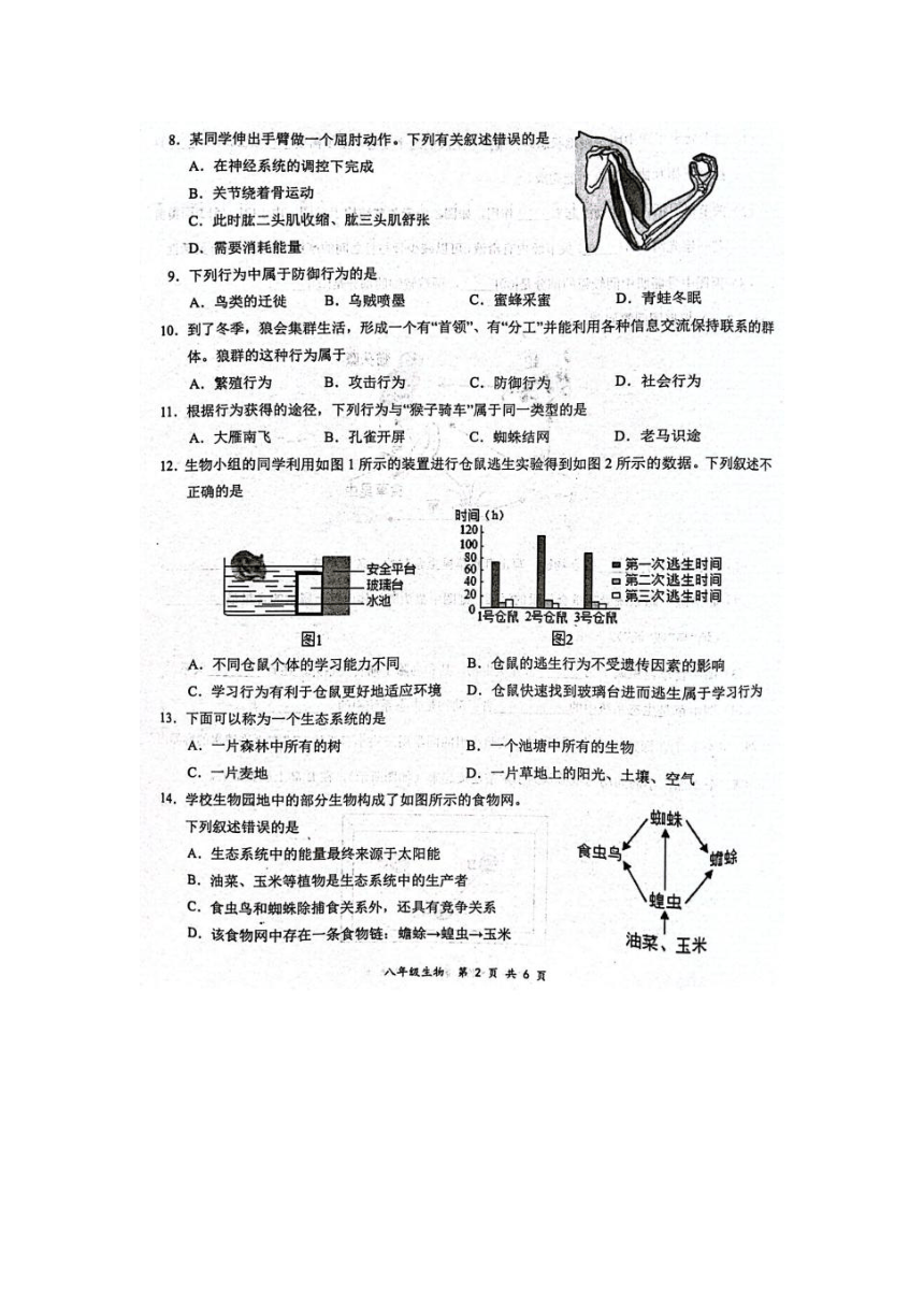 河南省周口市西华县2023-2024学年八年级上学期期末生物试题（图片版含答案）