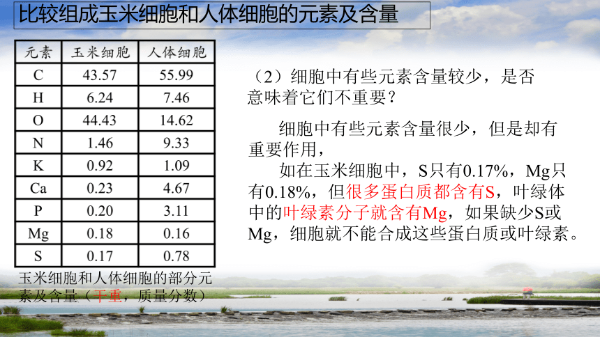 2.1细胞中的元素和化合物课件 (共53张PPT3份视频)人教版2019必修1